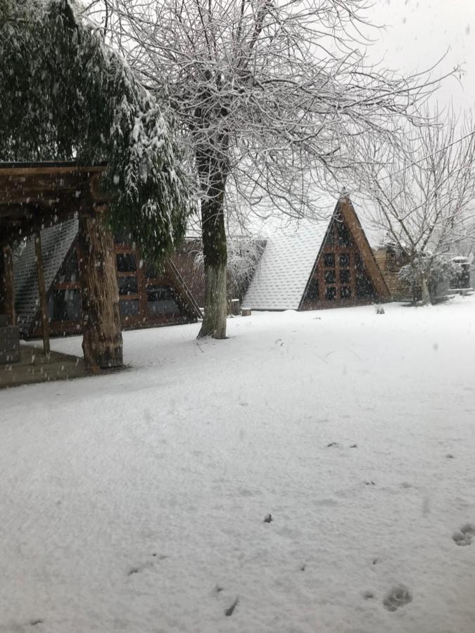 Бунгало Kheivani Bagian luar foto